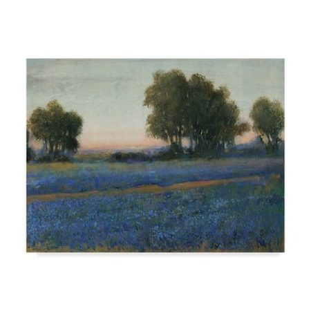 Tim Otoole 'Blue Bonnet Field Ii' Canvas Art,35x47